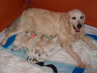 /album/fotogalerie/stenatka-056-jpg/